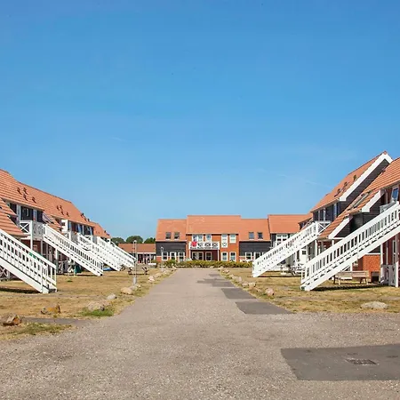 Daire 4 Person On A In *