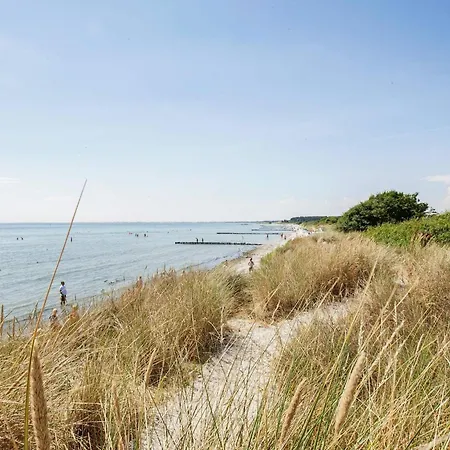 Daire 4 Person On A In