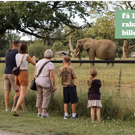4 Person On A In Daire